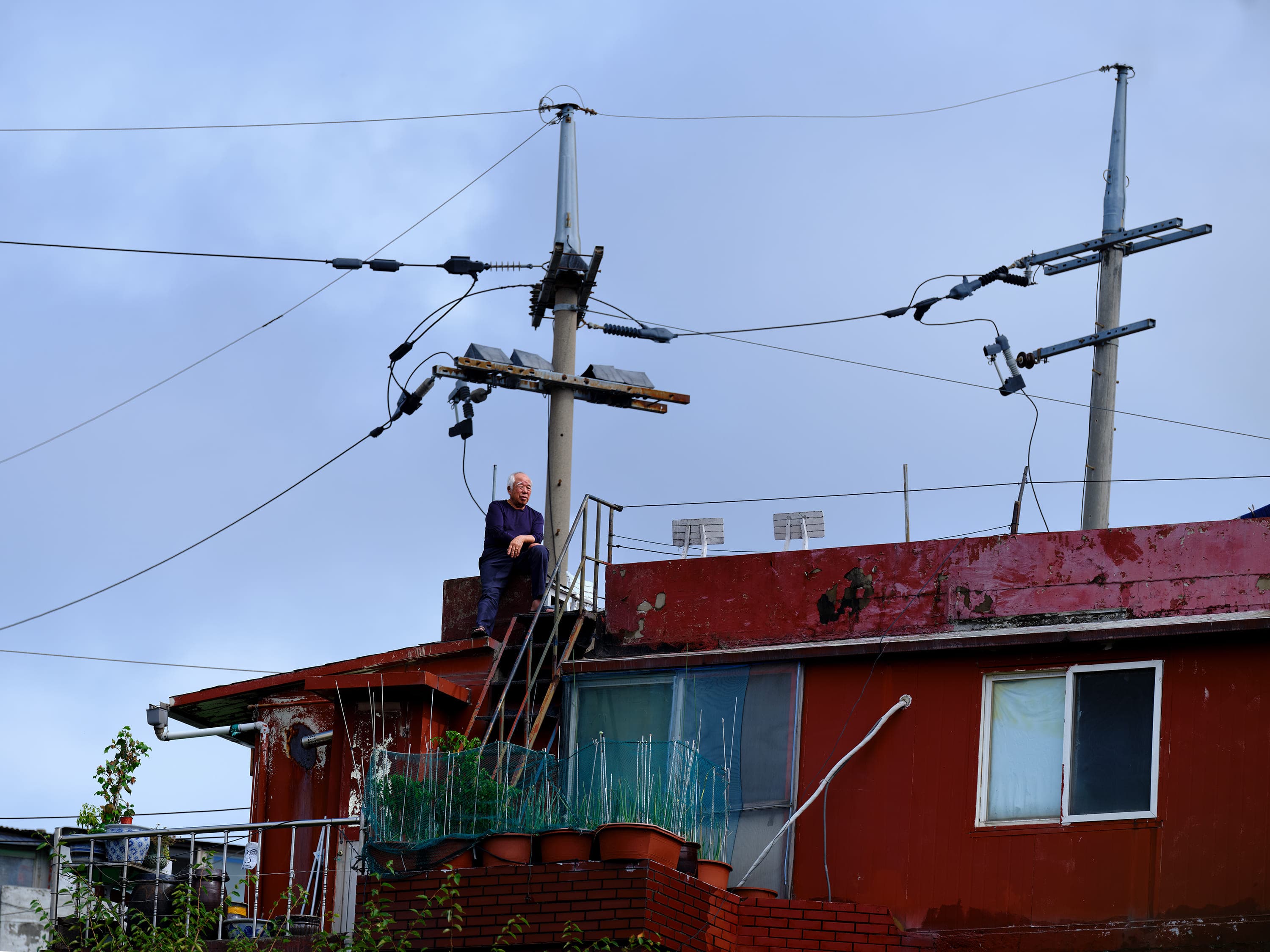An elderly man sits on the parapet of a rust-red rooftop house, a few potted plants on the terrace below him, under a tangle of power lines and two poles with transformers against the sky.