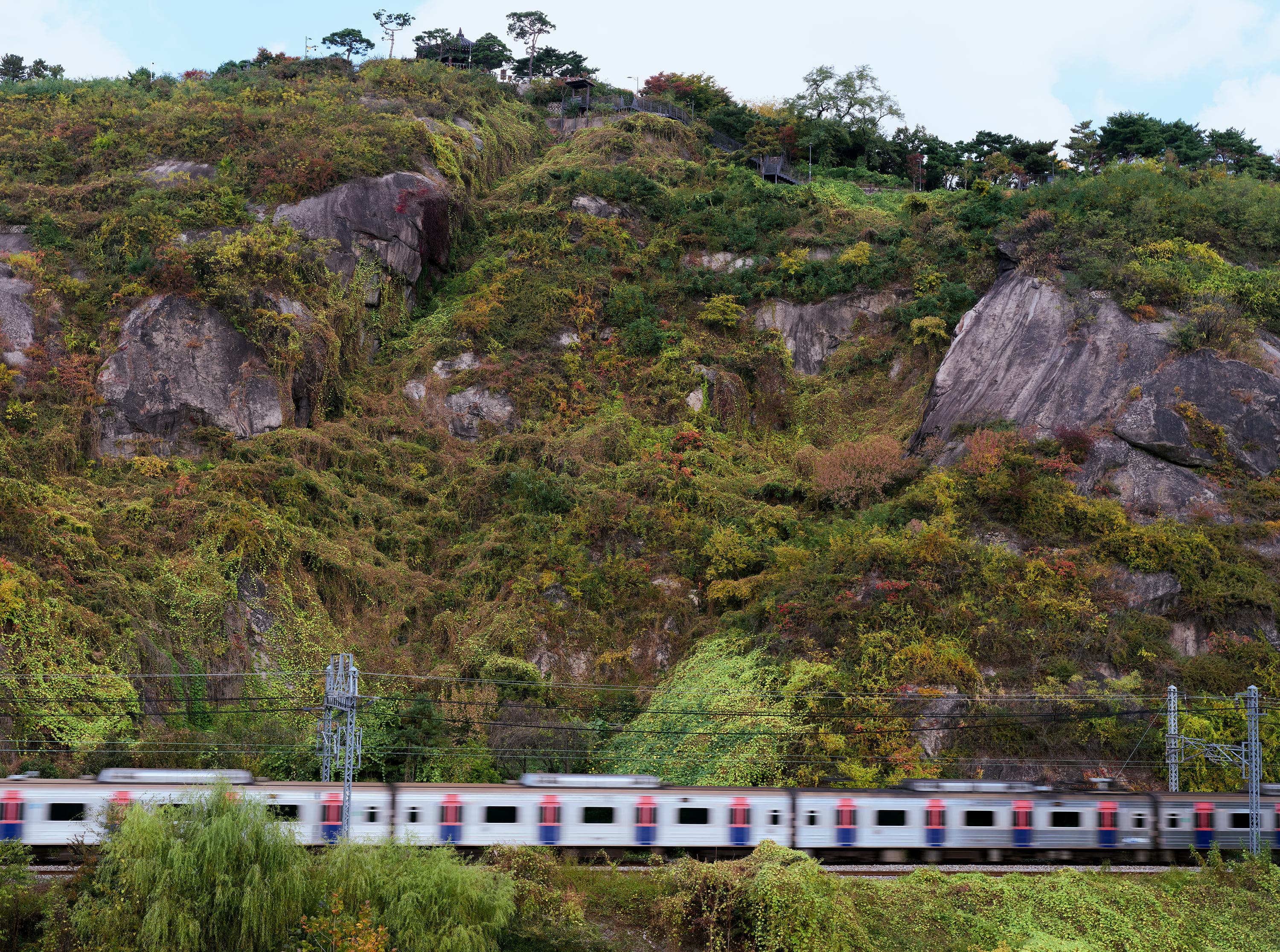 A commuter train blurs past the foot of a tall granite cliff covered in vines and scrub, catenary masts and wires above the track, and on the crest of the hill a small tiled pavilion among pines.