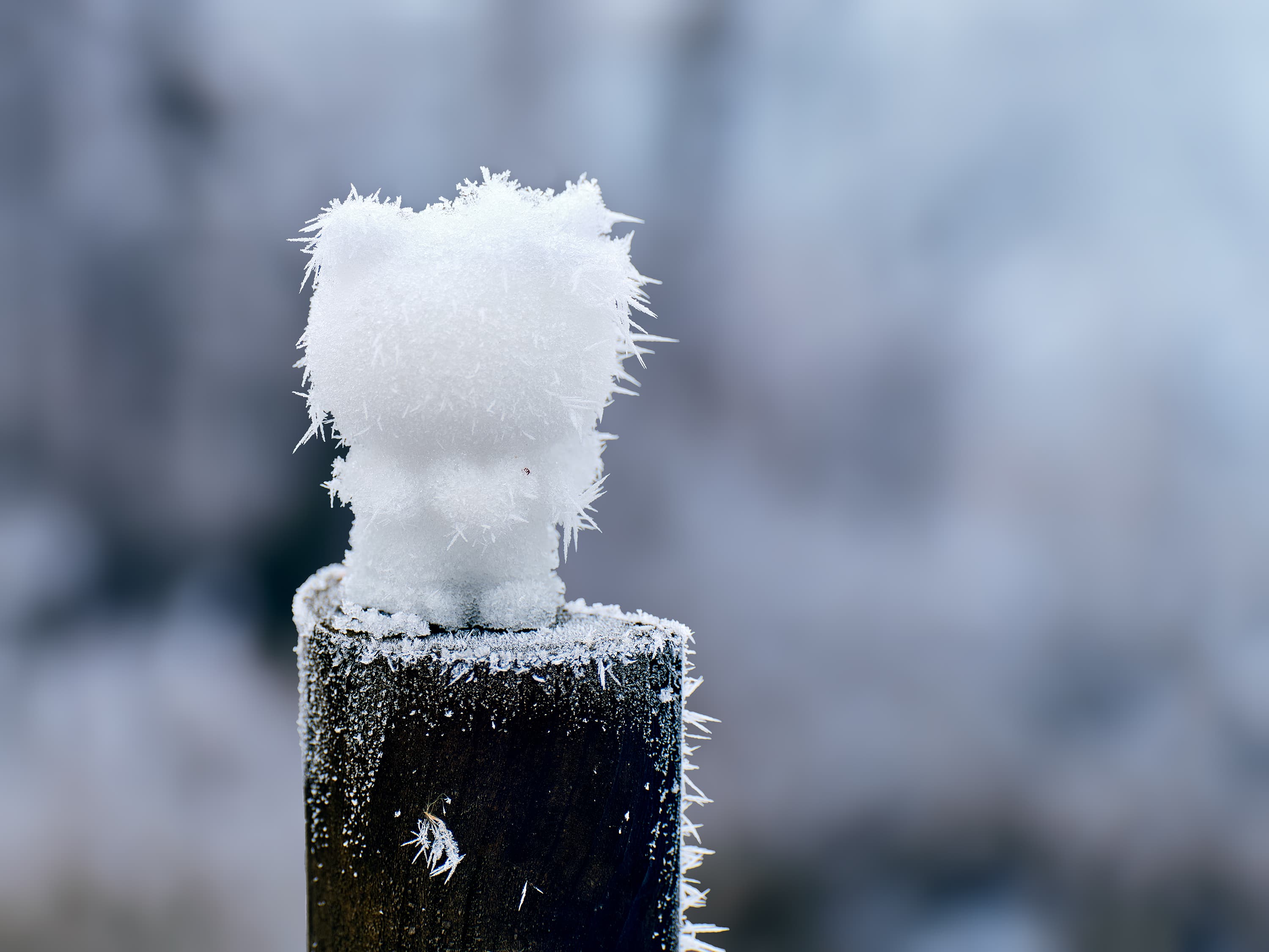 Ice-Crystal Bear Sculpture