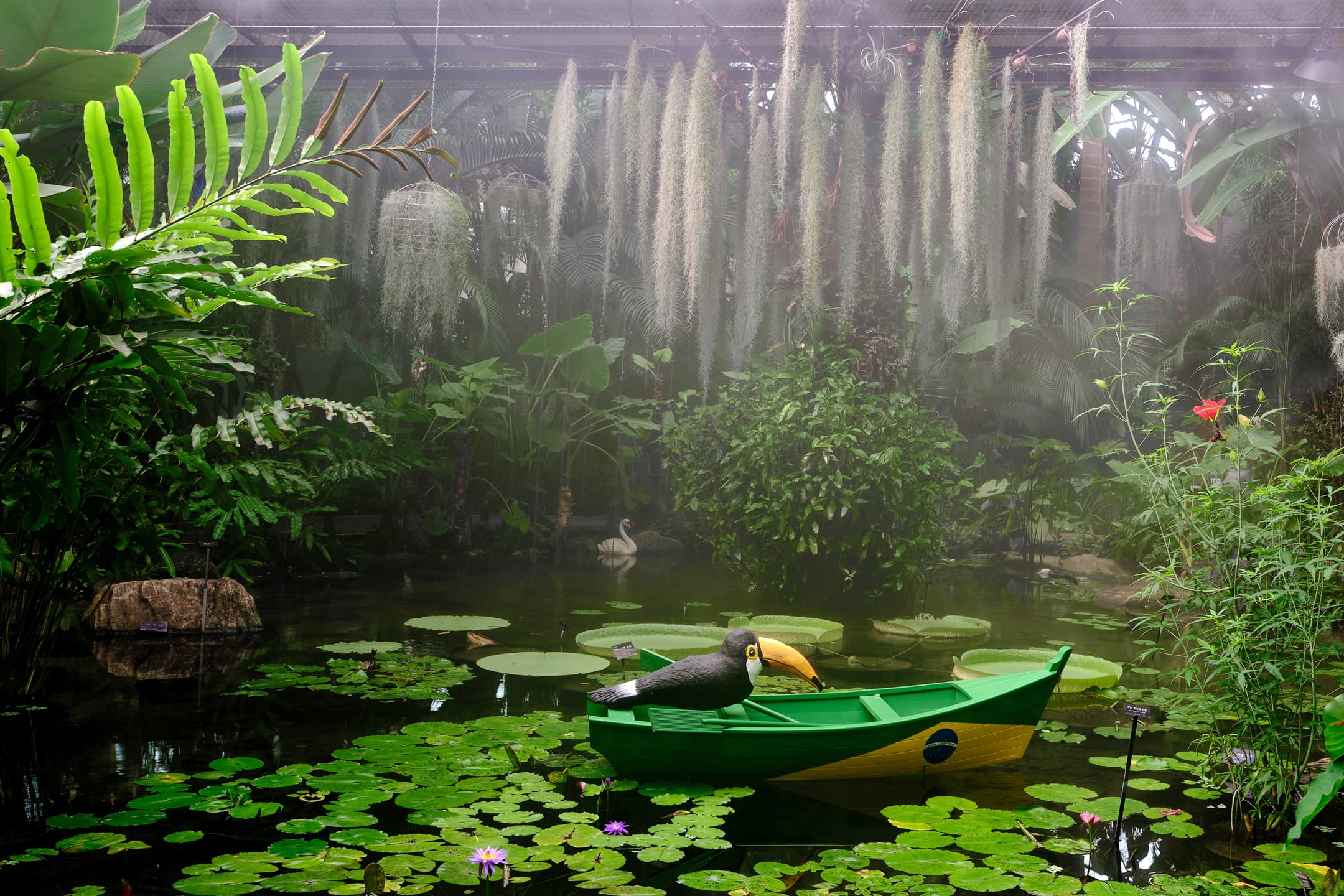 A pond with a toucan in a small boat with the flag of Brazil