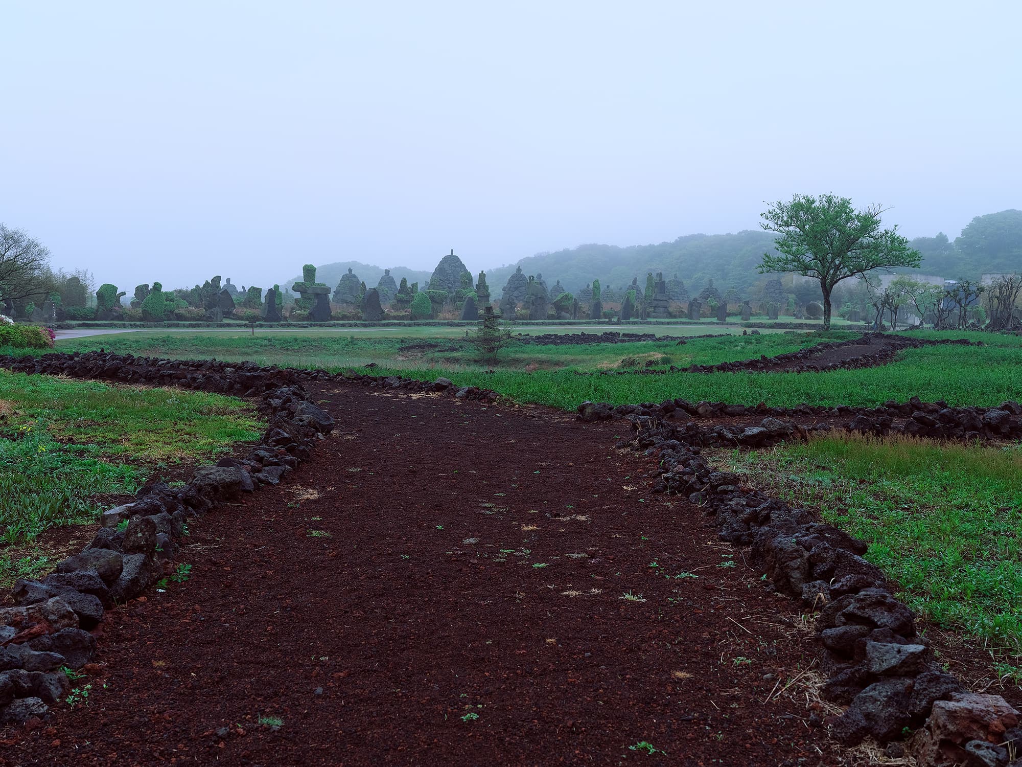 Forked path on an overcast misty day