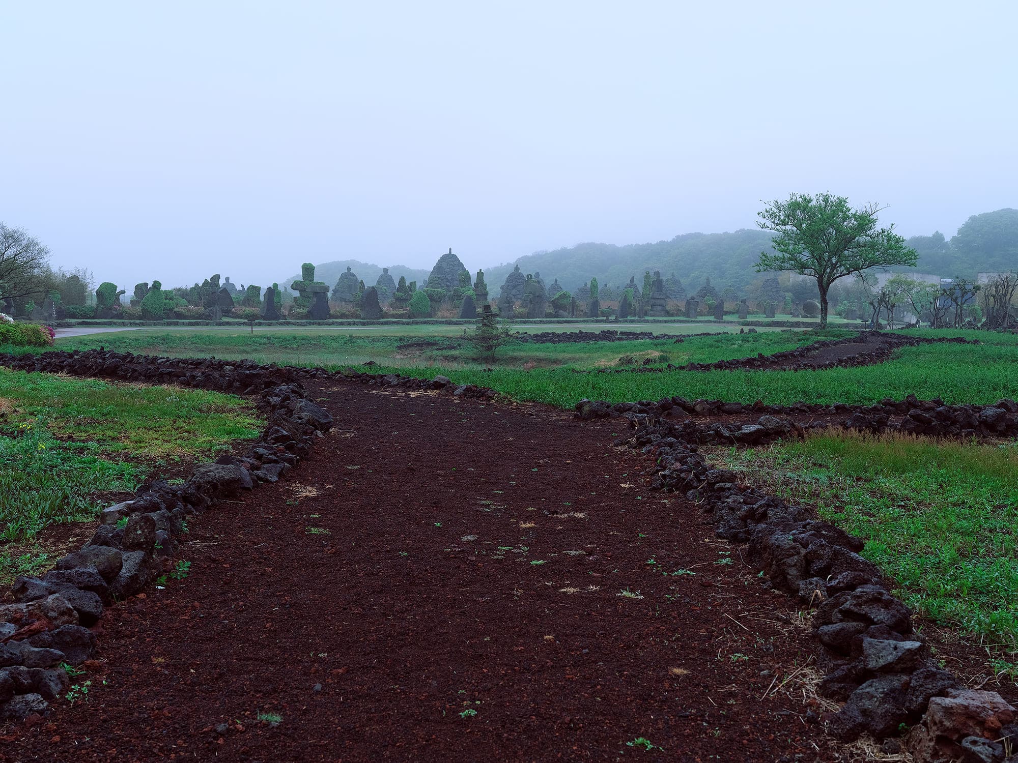 Forked path on an overcast misty day