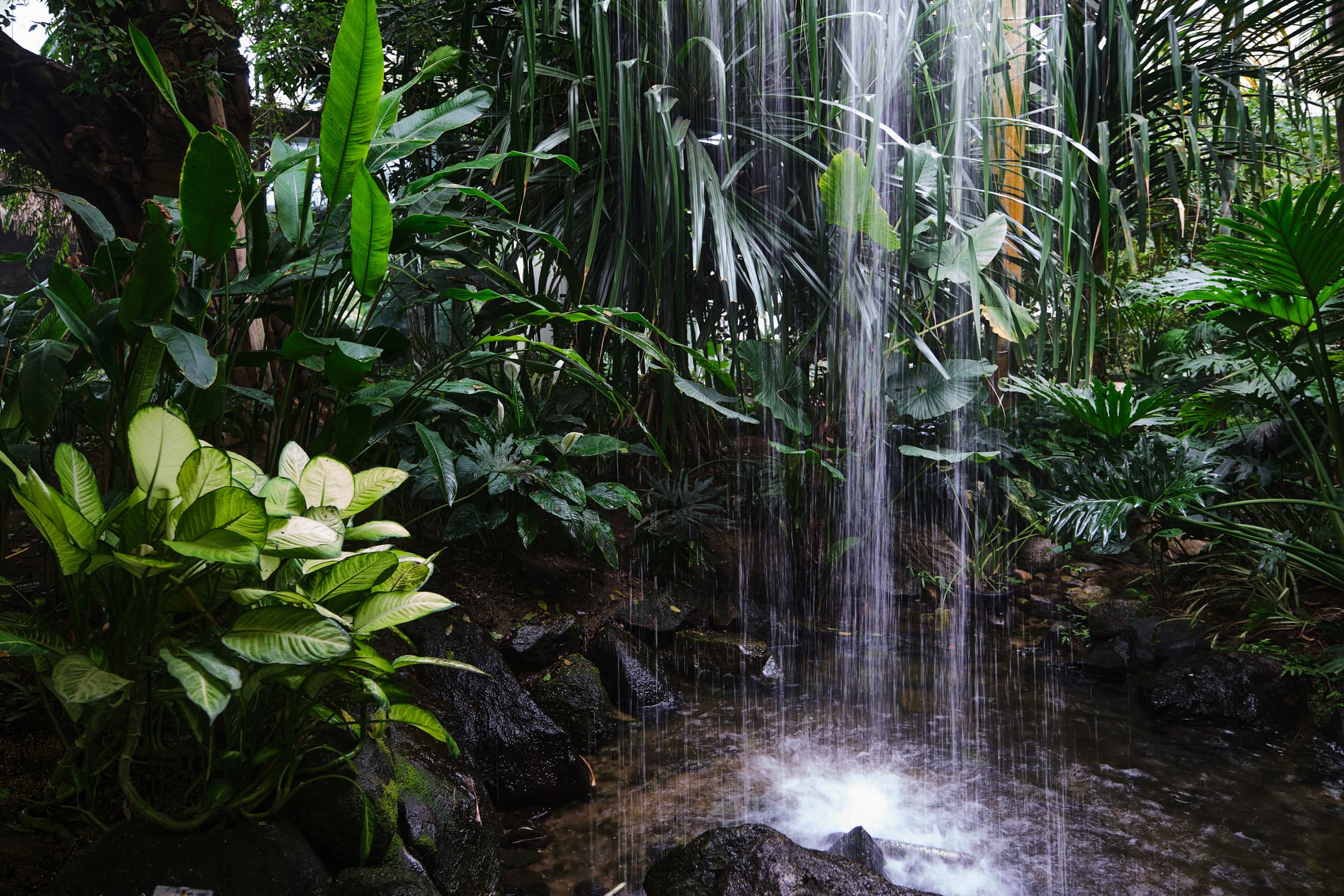 A waterfall over a pond