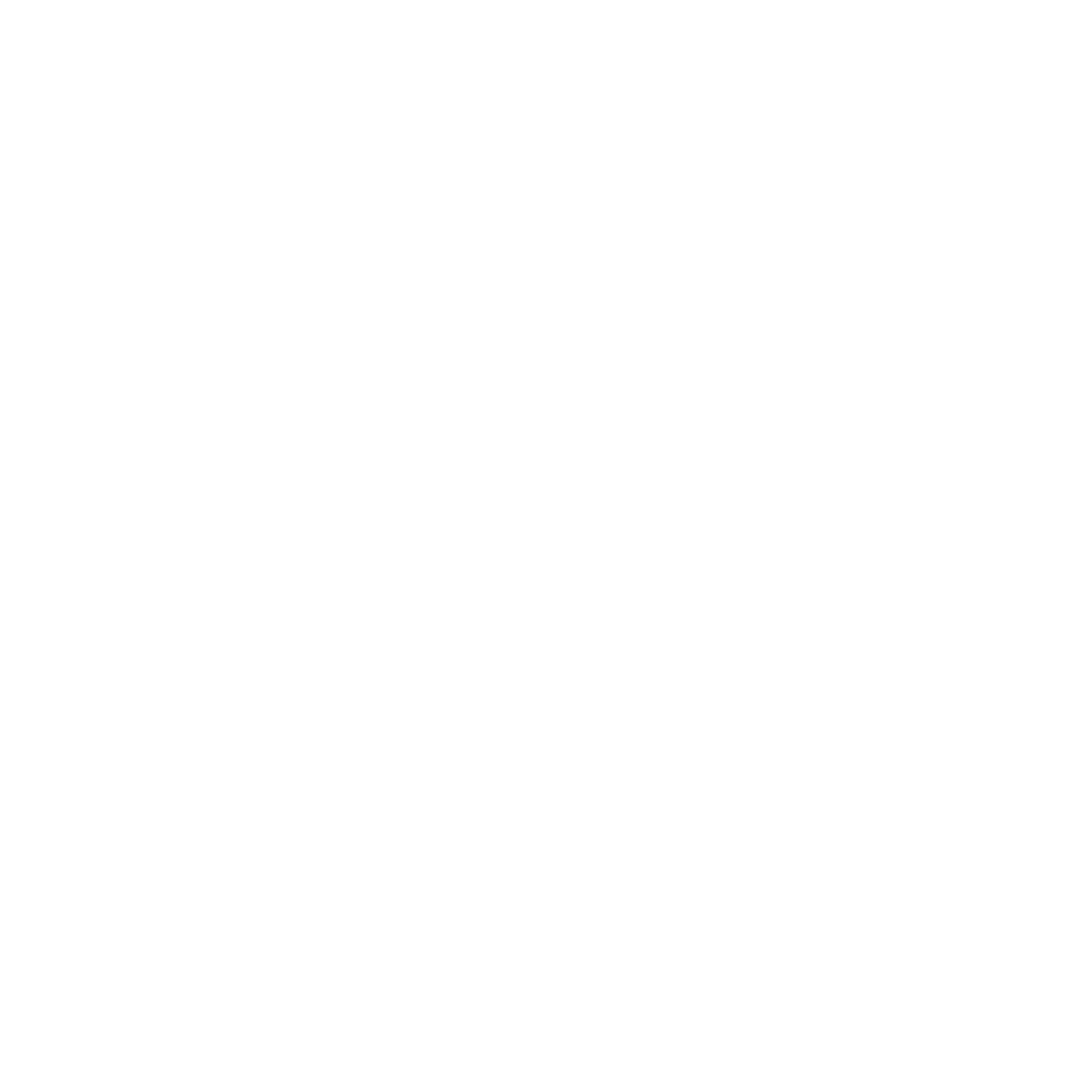 Drawing of a flower