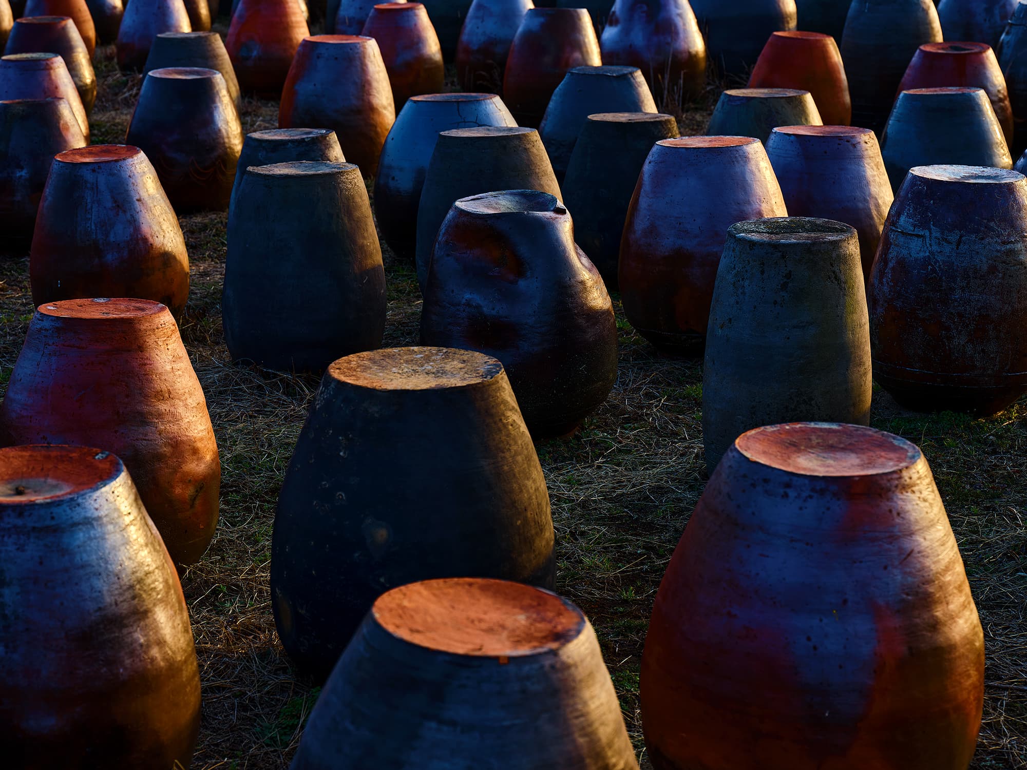 Field of upturned Onggi jars at dusk