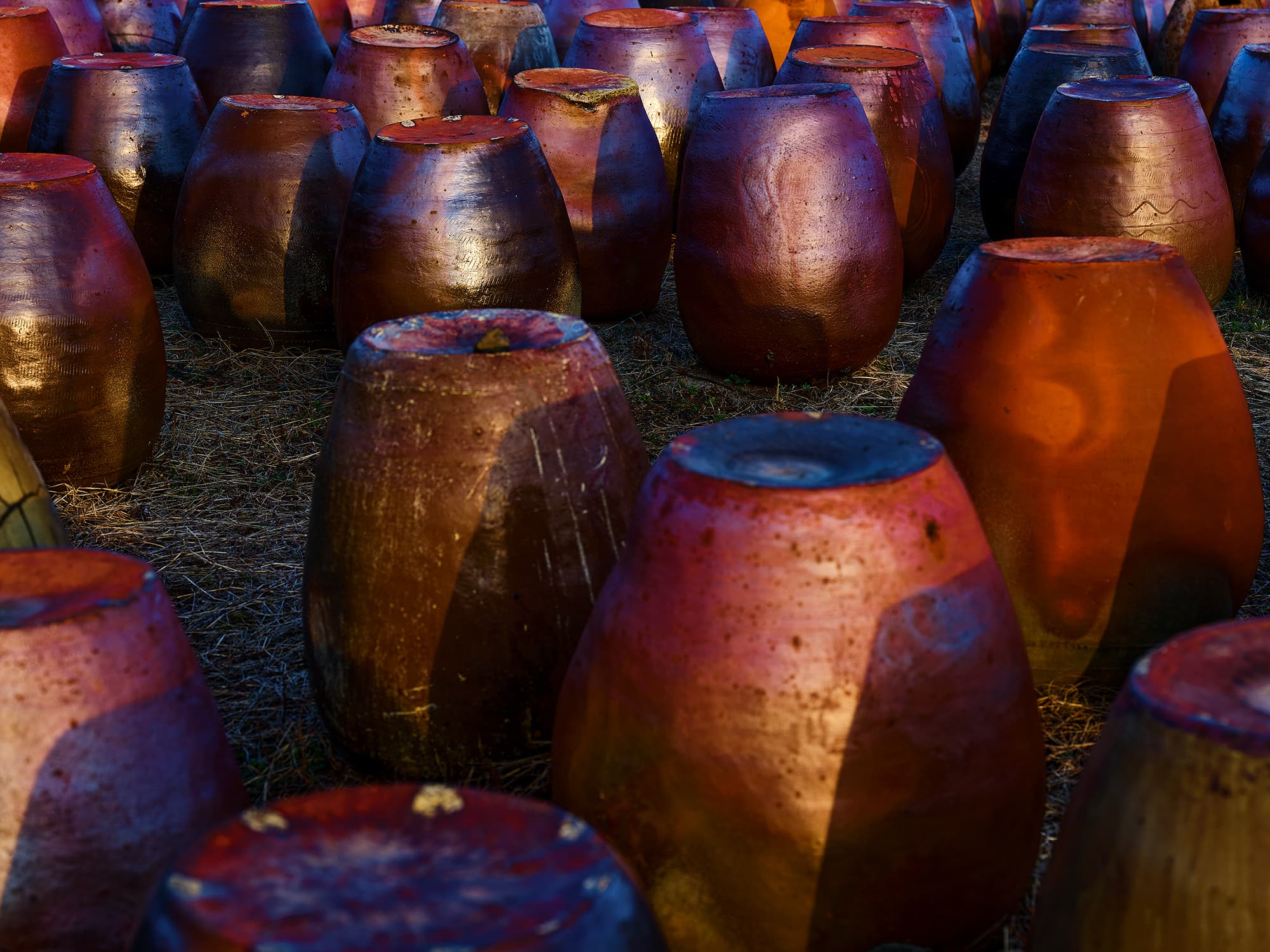 Golden round Onggi pottery jars glowing in evening light
