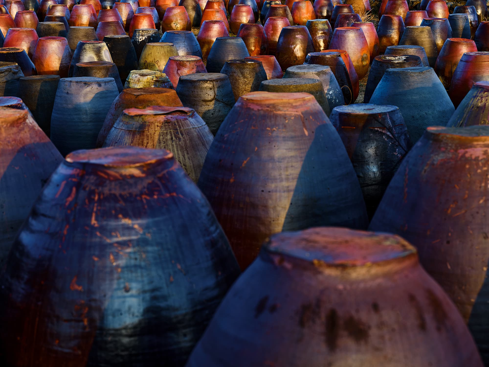 Rows of upturned earthenware jars in warm sunset light