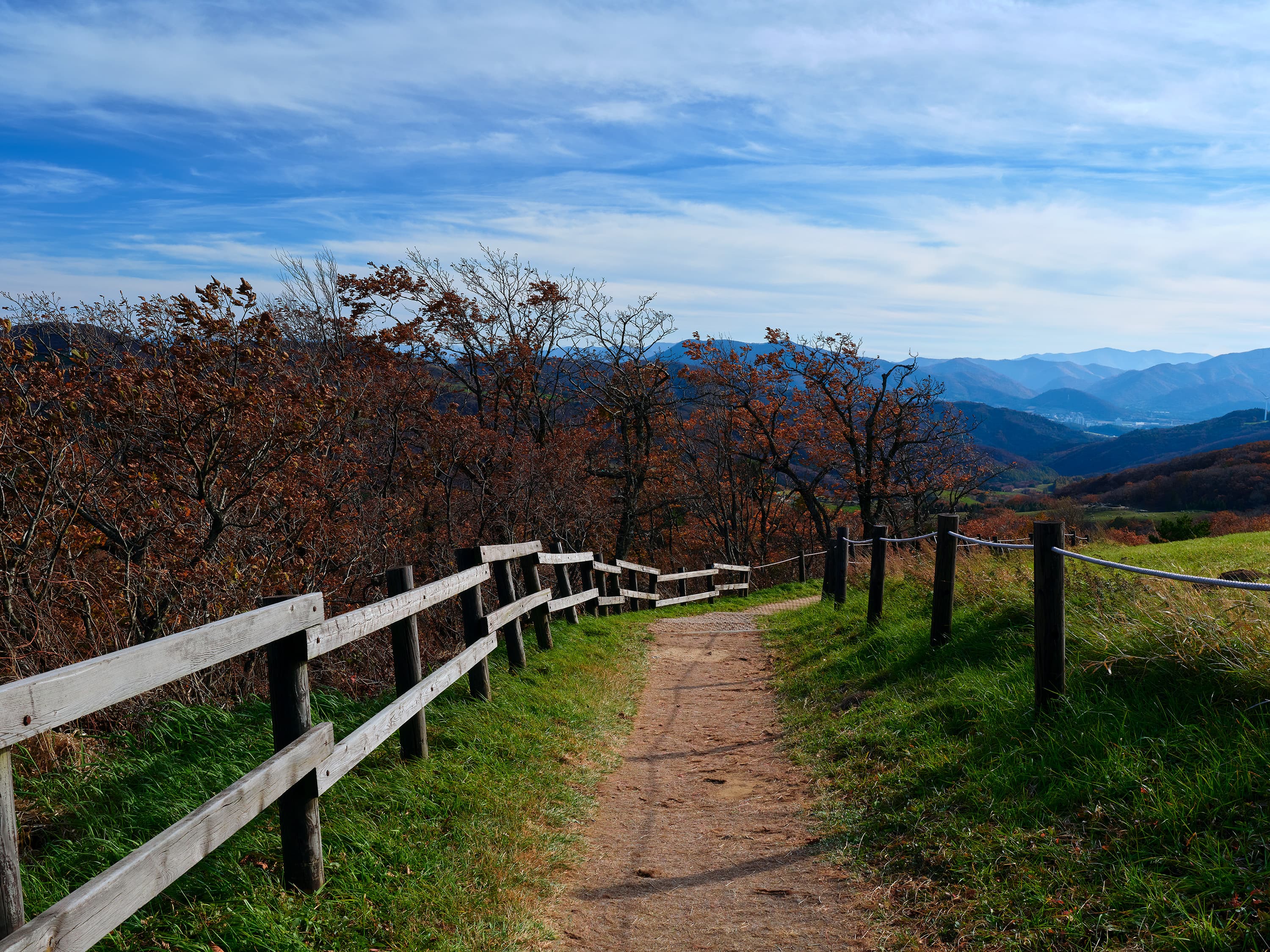 Fence-lined dirt trail at Samyang Ranch with autumn trees and distant mountains under a blue sky.